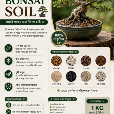 বনসাই মিডিয়া Bonsai Media