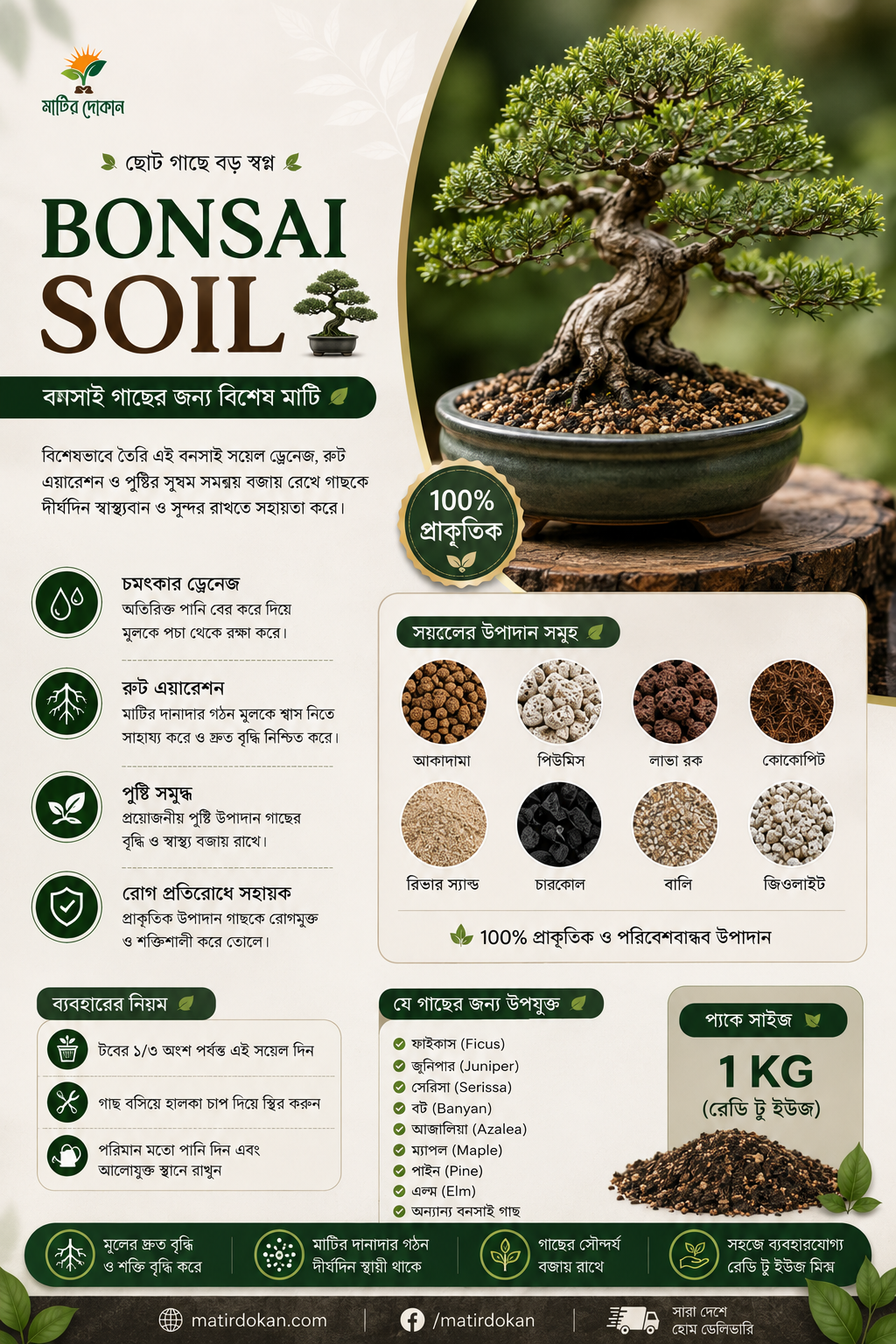 বনসাই মিডিয়া Bonsai Media