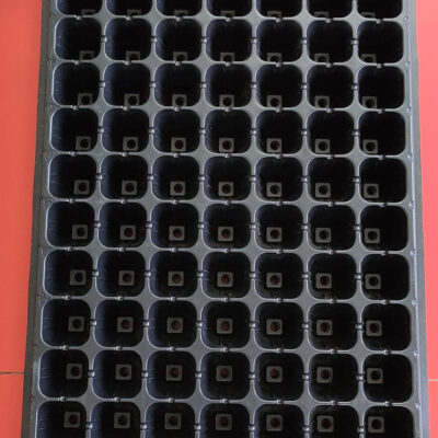Seedling Tray সীডলিং ট্রে ১২৮ ও ১০৫ সেল