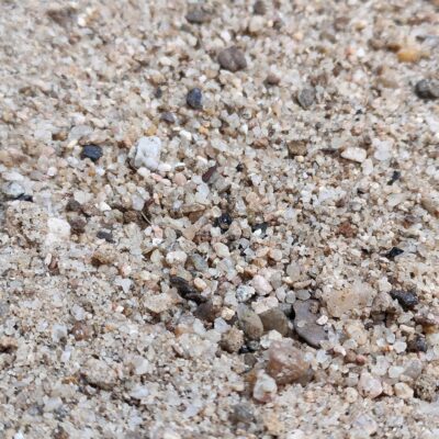COARSE SAND মোটা বালু 1KG
