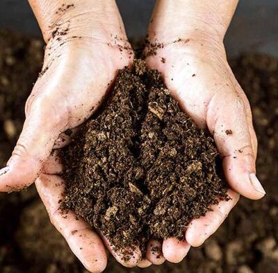 FRUIT PLANT FERTILIZER ফলের গাছের জৈব সার 1KG