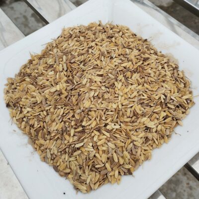 ধানের চিটা ৫০০ গ্রাম