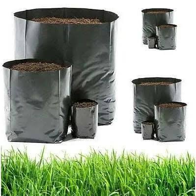 Nursery Poly Bag