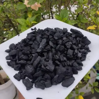 কাঠ কয়লা Charcoal