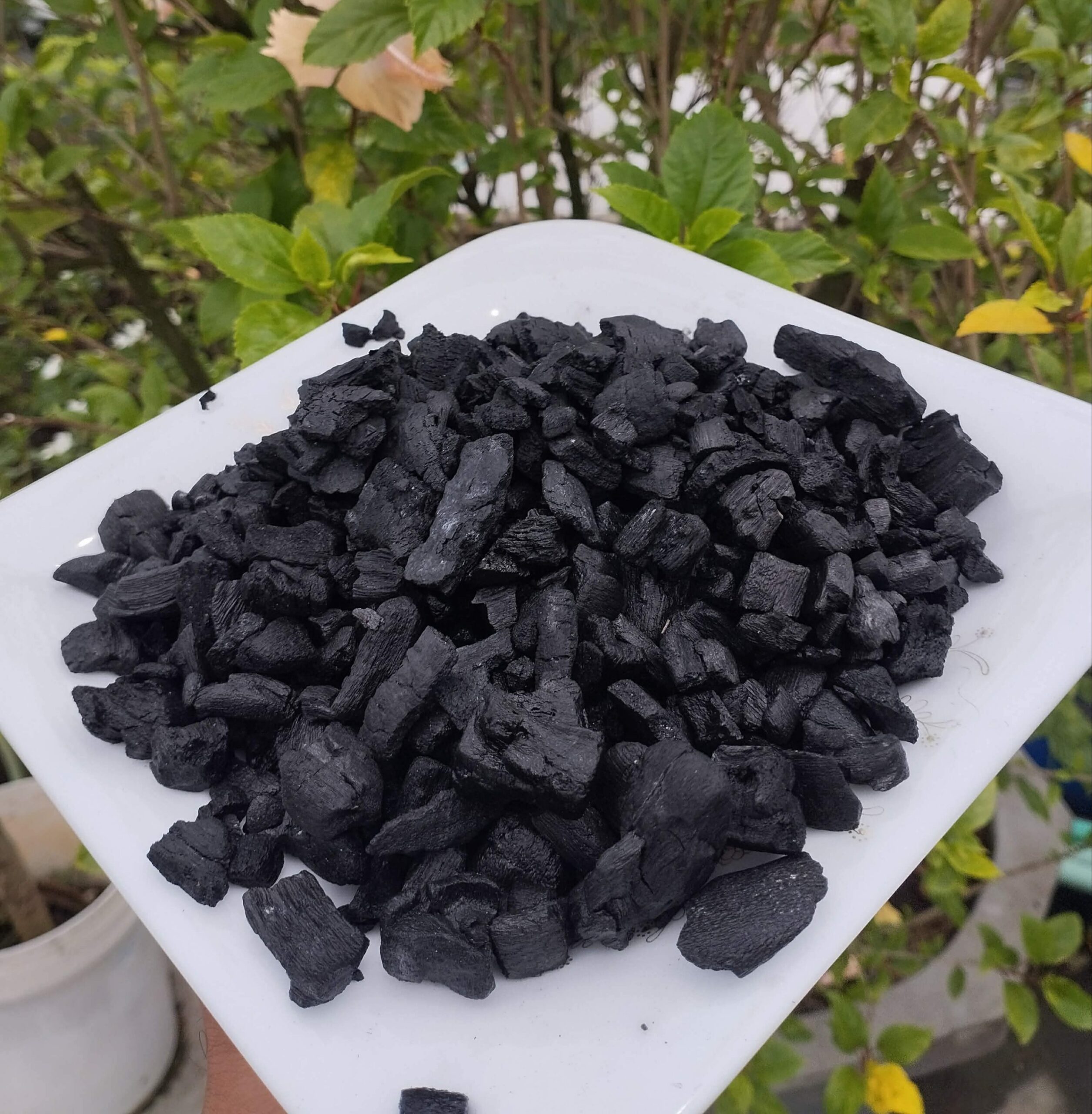 কাঠ কয়লা Charcoal