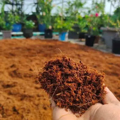 কোকোপিট