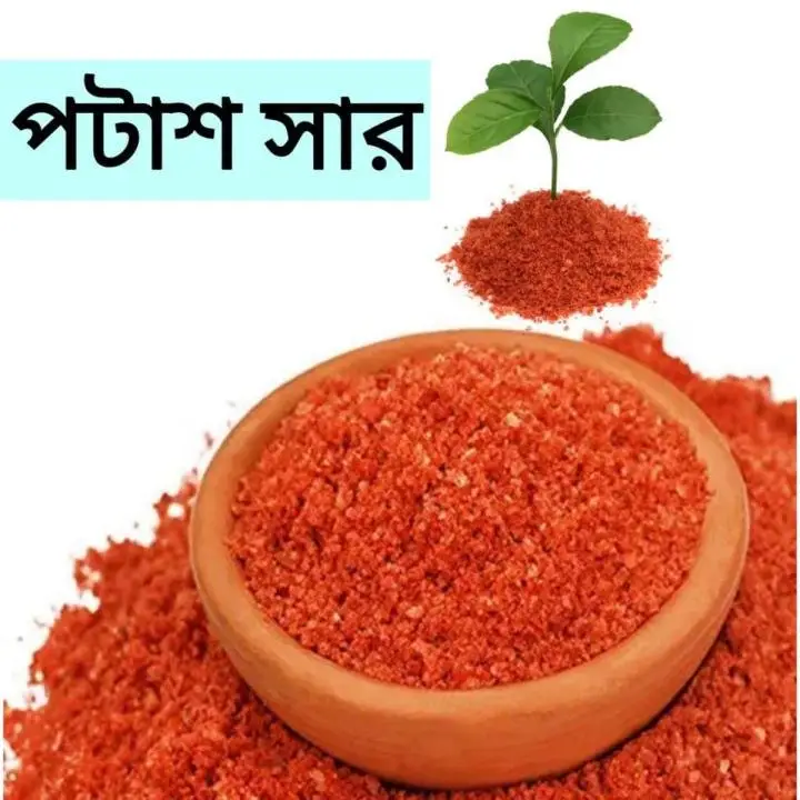 এমওপি সার (MOP – Muriate of Potash)