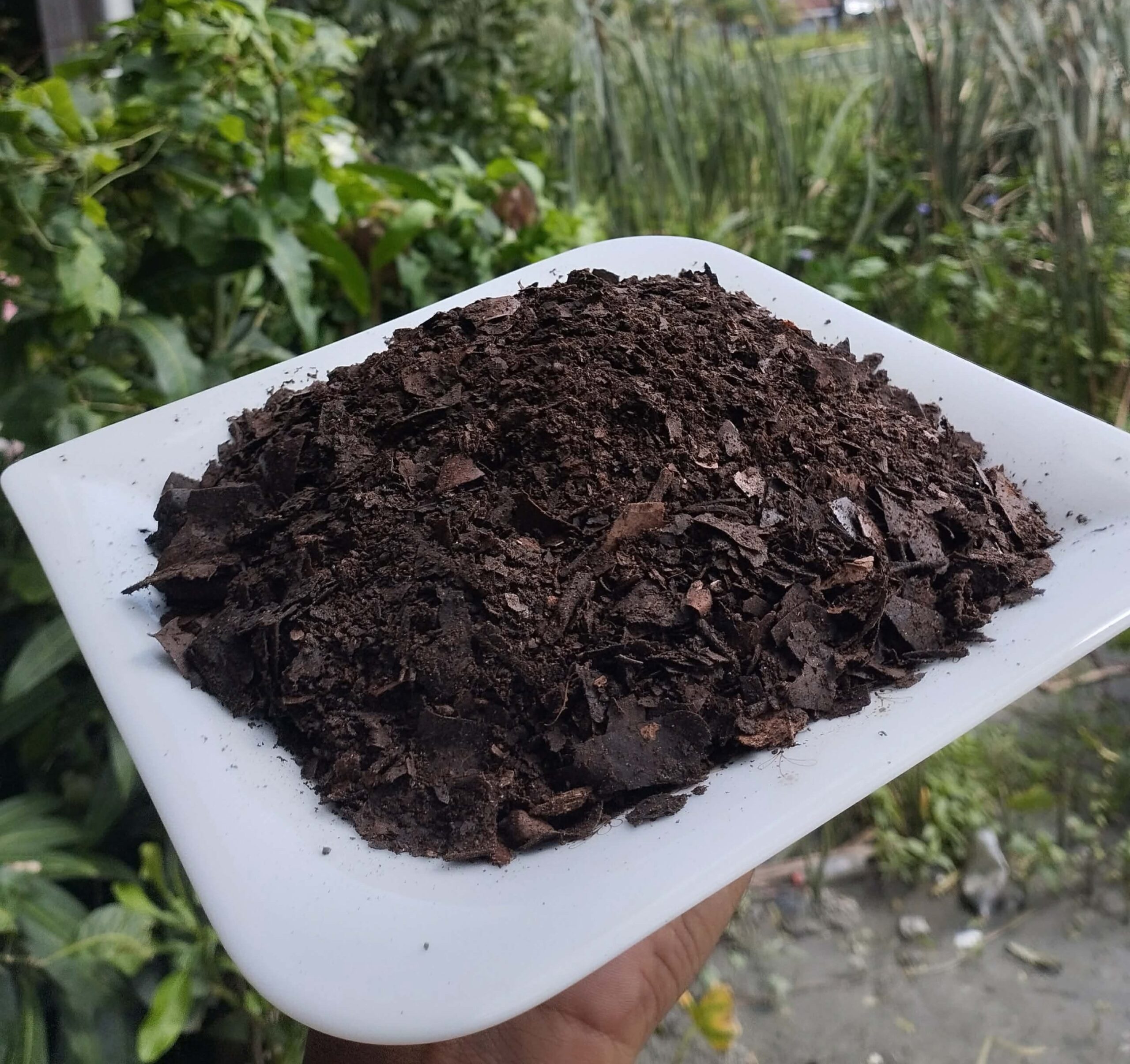 পাতা পঁচা সার (Leaf Compost)
