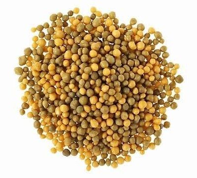 osmokot অসমোকট ১০০ গ্রাম
