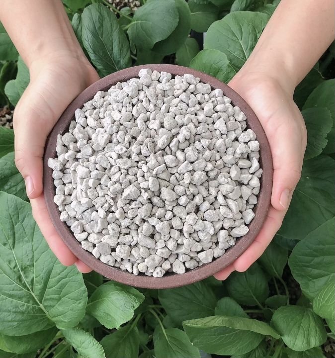 পিউমিস স্টোন (Pumice Stone) – ১০০ গ্রাম - Image 2