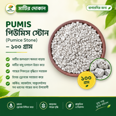 পিউমিস স্টোন (Pumice Stone) – ১০০ গ্রাম