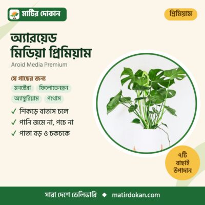 অ্যারয়েড মিডিয়া প্রিমিয়াম