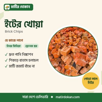ইটের খোয়া