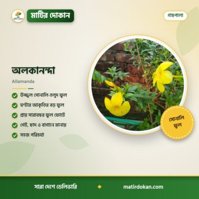 অলকানন্দা — ক্যাটালগ