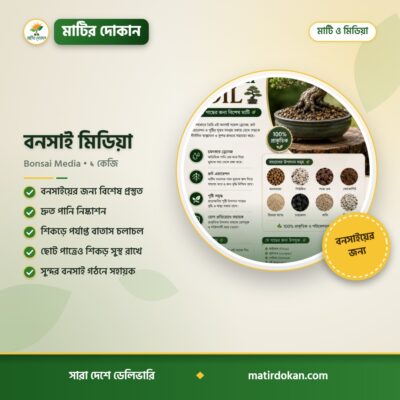 বনসাই মিডিয়া — ক্যাটালগ