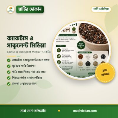ক্যাকটাস ও সাকুলেন্ট মিডিয়া — ক্যাটালগ