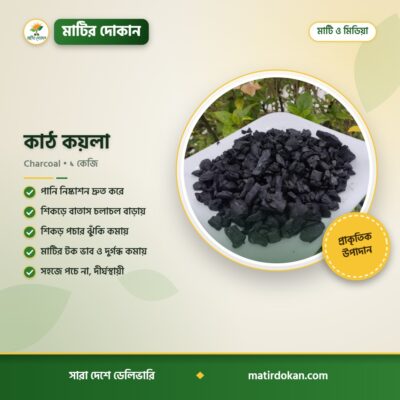 কাঠ কয়লা — ক্যাটালগ