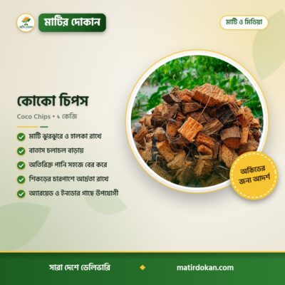 কোকো চিপস — ক্যাটালগ