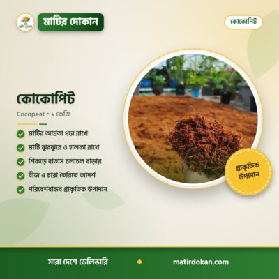 কোকোপিট — ক্যাটালগ