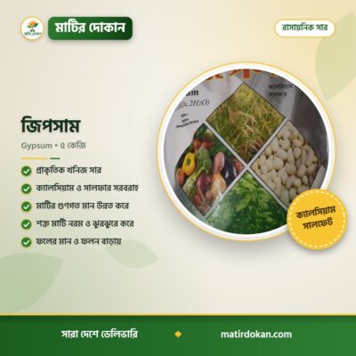 জিপসাম — ক্যাটালগ