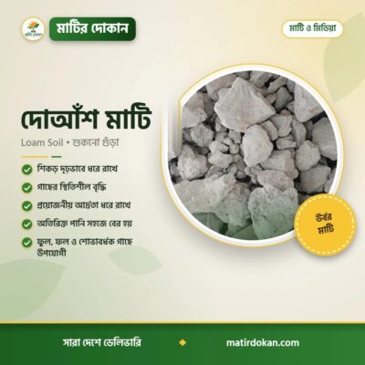 দোআঁশ মাটি (Loam Soil)