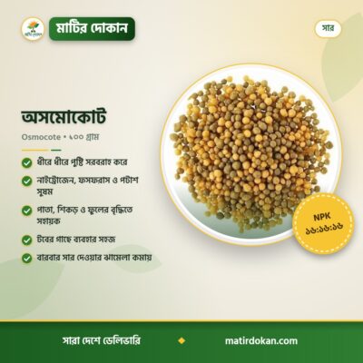 অসমোকোট — ক্যাটালগ
