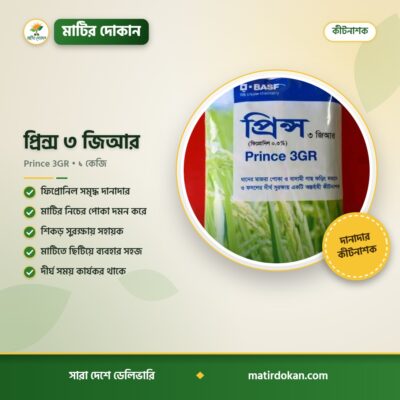 প্রিন্স ৩ জিআর — ক্যাটালগ