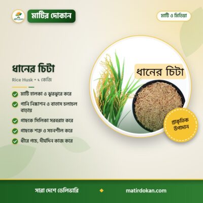 ধানের চিটা — ক্যাটালগ