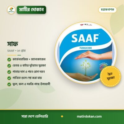 সাফ — ক্যাটালগ