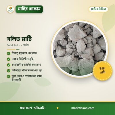 সলিড মাটি — ক্যাটালগ