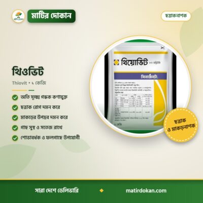থিওভিট — ক্যাটালগ