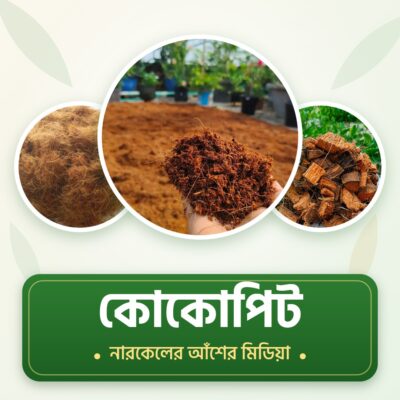 কোকোপিট