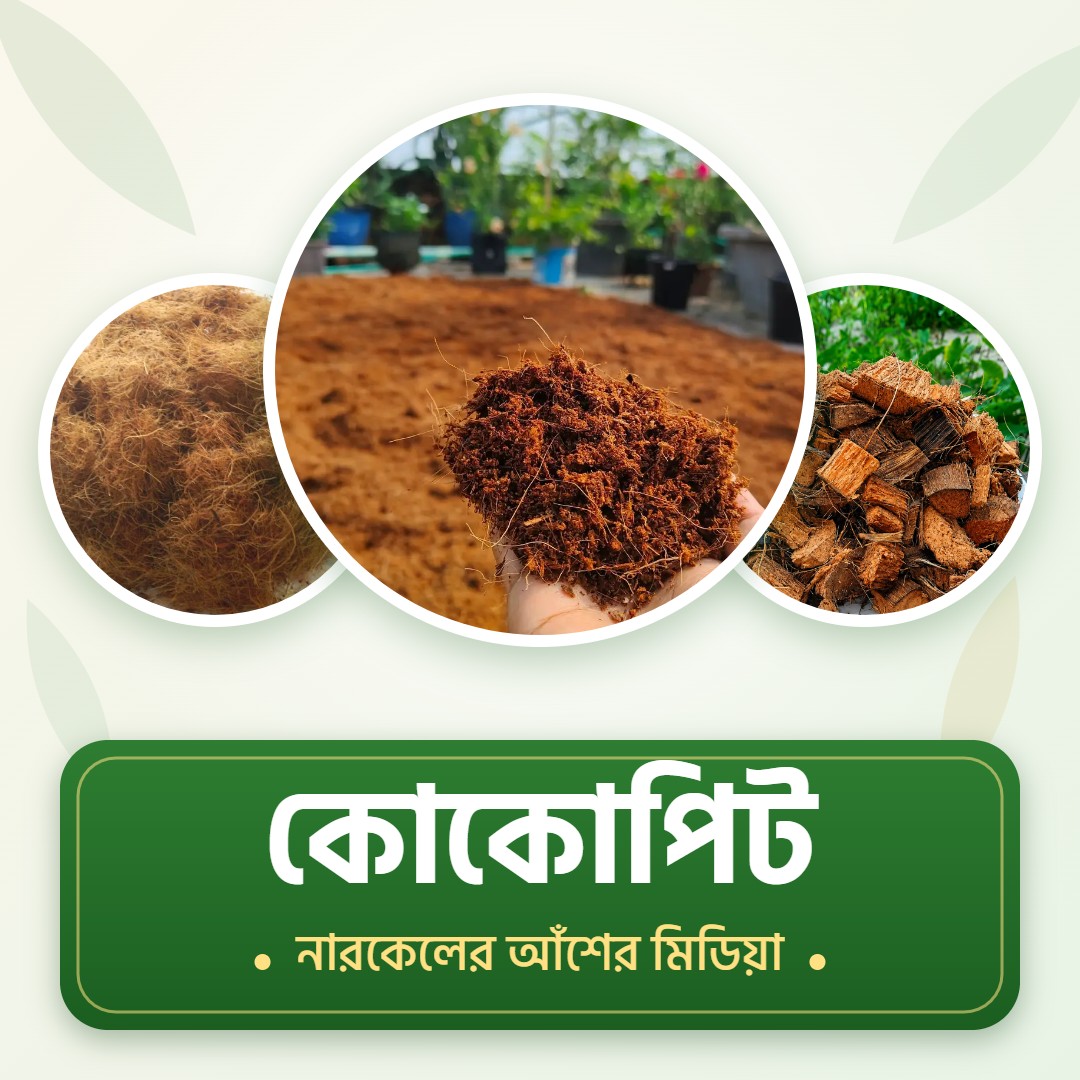 কোকোপিট
