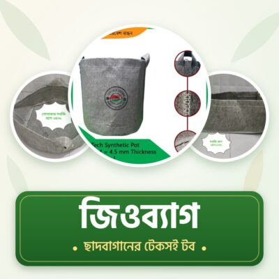 জিওব্যাগ