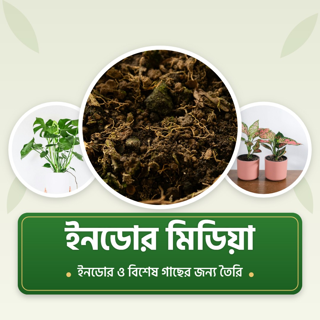 ইনডোর ও বিশেষ গাছের মিডিয়া