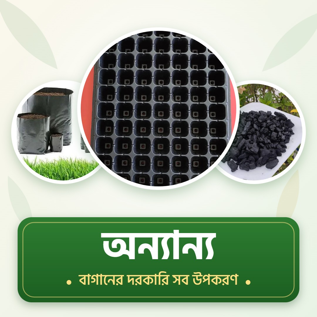 অন্যান্য