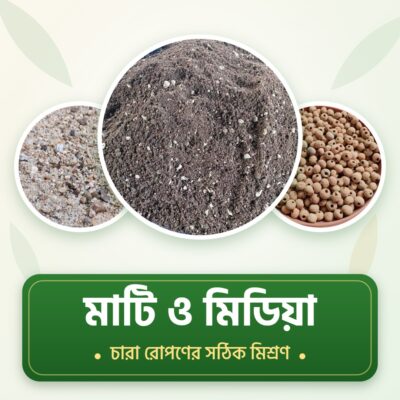 মাটি ও মিডিয়া