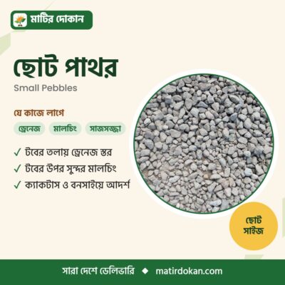 ছোট পাথর