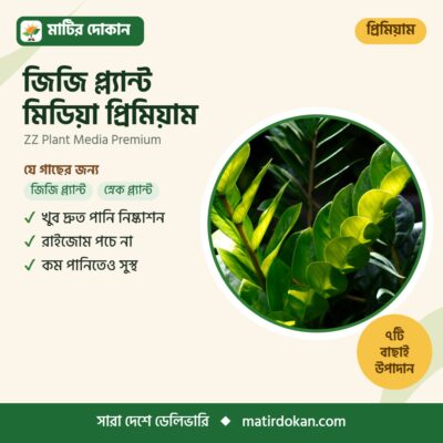 জিজি প্ল্যান্ট মিডিয়া প্রিমিয়াম